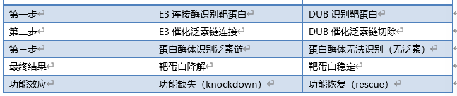 8c81245c-fd24-4c7e-a1d4-78d2074cb1f1.png